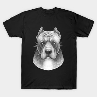 Pitbull on black T-Shirt